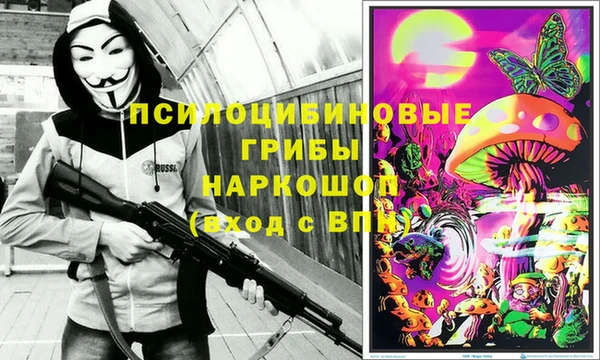 метадон Алексин