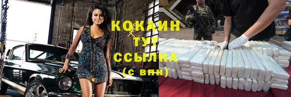 дурь Осташков