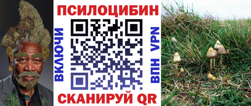 Галлюциногенные грибы мухоморы  Буй 